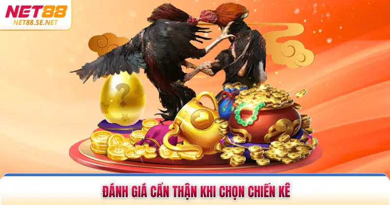 Cách Chọn Gà Đá Khỏe Mạnh Chuẩn Xác Trong Mọi Trận Đánh giá tổng thể sức khỏe khi chọn chiến kê